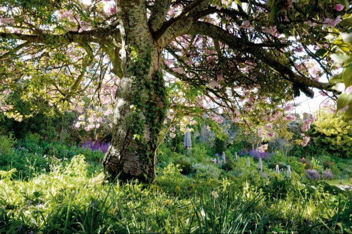 The garden designed by Isabel and Julian Bannerman at Trematon Castle, Cornwall