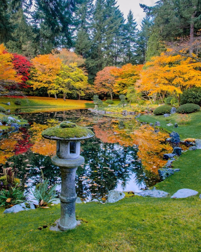 A pond surrounded by lawn and trees whose leaves are yellow and red on the University of British Columbia’s campus 