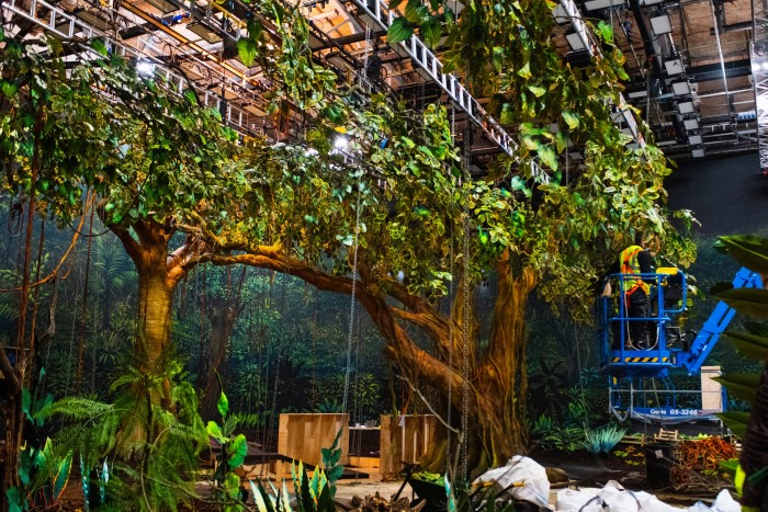 The jungle set of The Wonderful Story of Henry Sugar