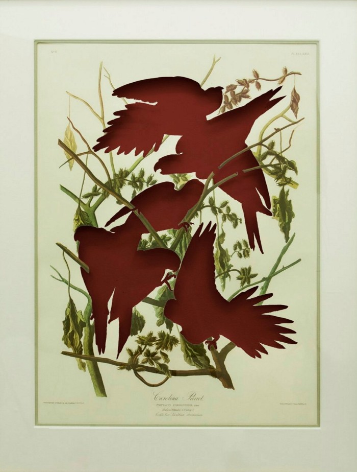 A paper cut-out artwork shows botanical motifs and red bird-shaped silhouettes