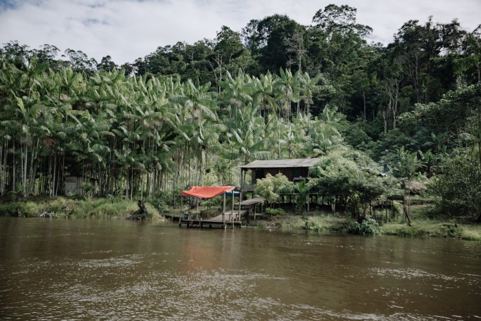 A local family who gather ingredients such as breu branco resin live in this house on the Jari river, a tributary of the Amazon