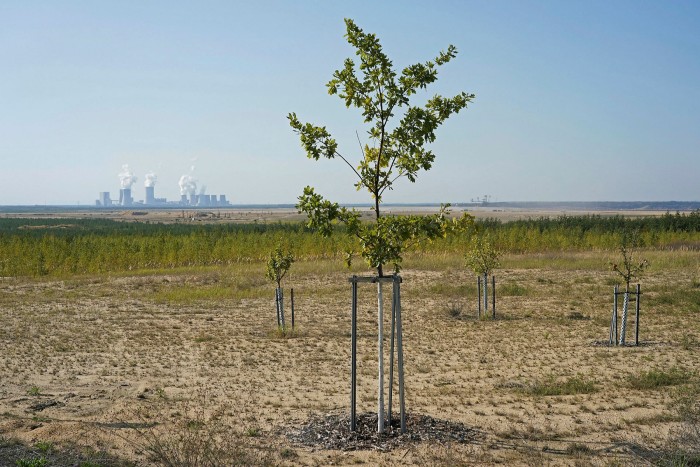 Trees grow on land cultivated after the closure of an open coal mine in Weisswasser, Germany