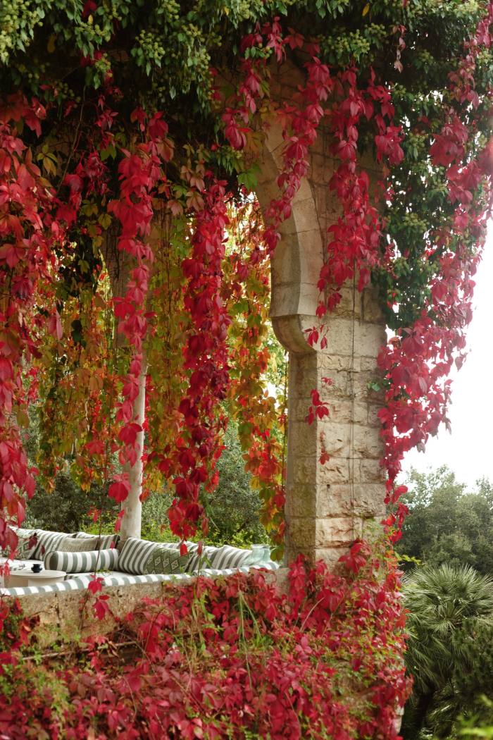 The flower-draped terrace at Beit Trad 