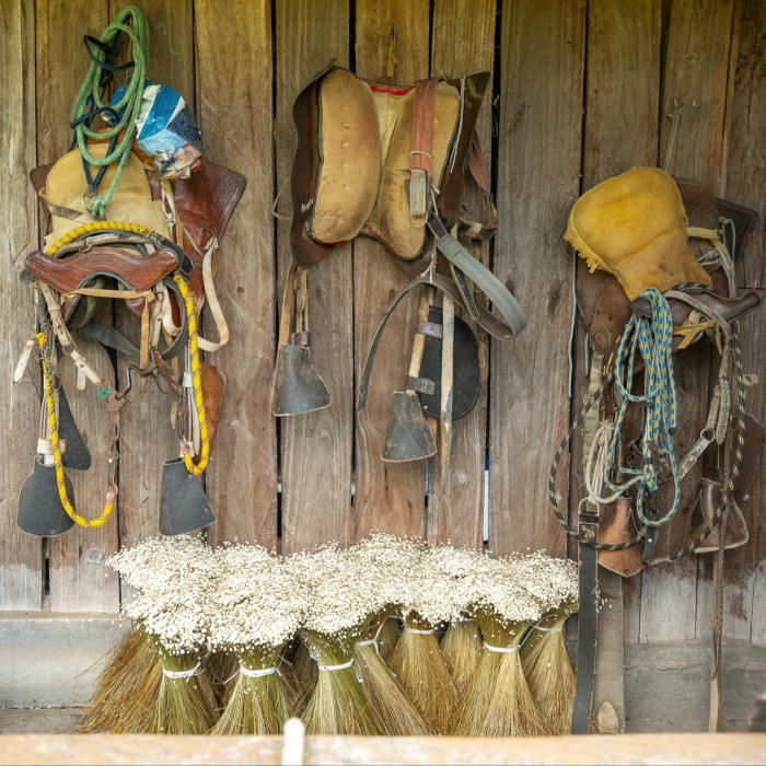 Riding gear hanging on nails on the wall of a shed, with bound flowers 