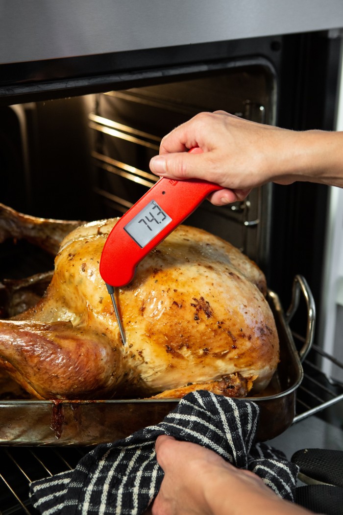 Thermapen One, £66