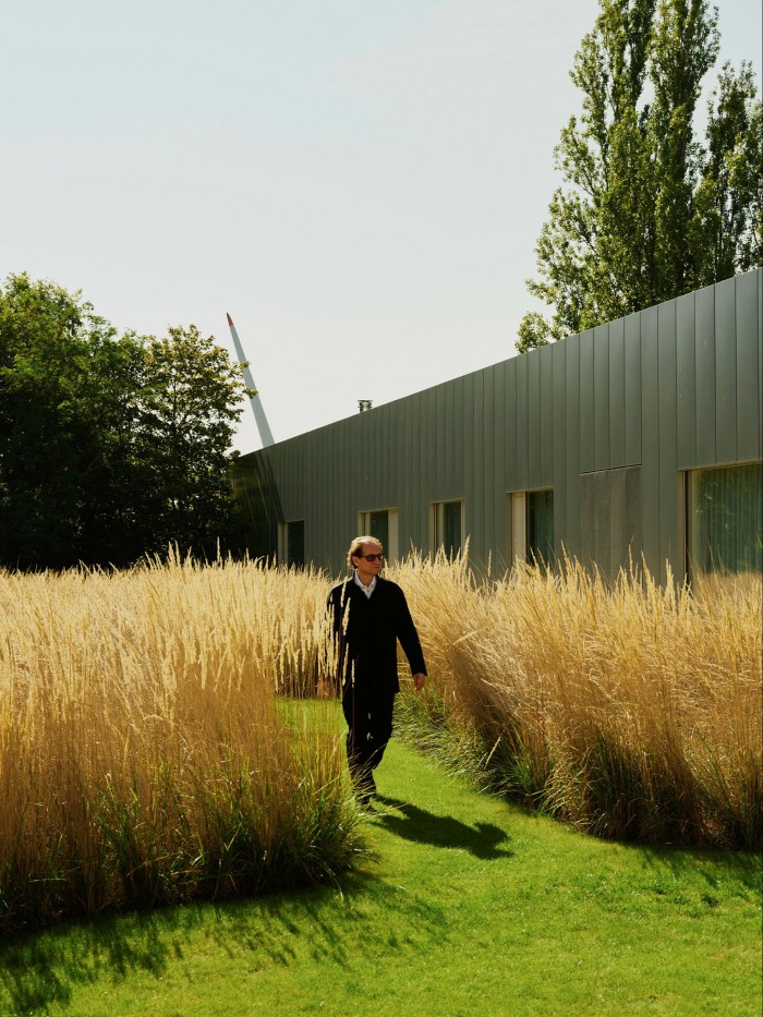 A man walks through the garden of tall yellow grasses
