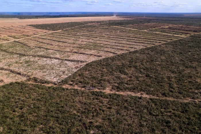 Illegally cleared land in Brazil’s Cerrado region