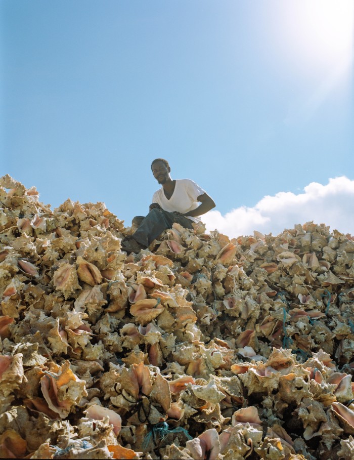 A tower of conch shells in Nassau