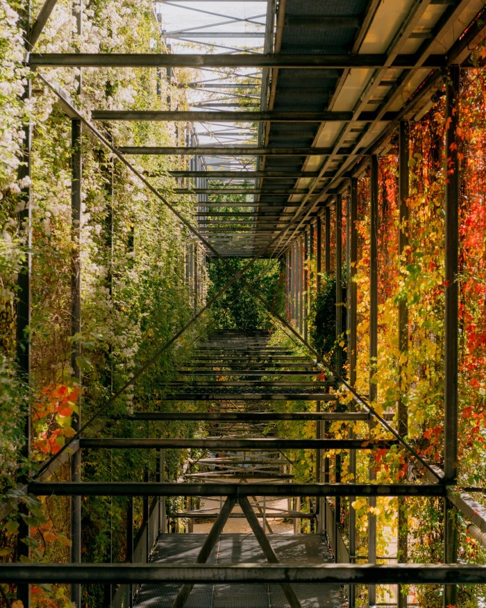  Looking within the square grid of the metal lattice at one of its upper levels, with plants growing around each of its sides