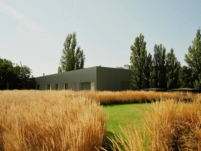 Yellow field of tall grasses and a green lawn in front of a low black building
