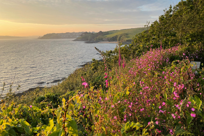 A cliff covered in yellow and purple wildflowers leading down to the sea  