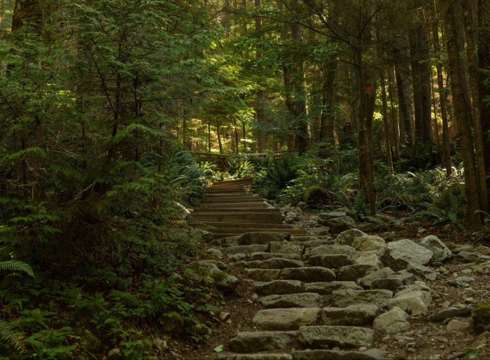Rock and wood steps leading up through forest on the Grouse Grind trail