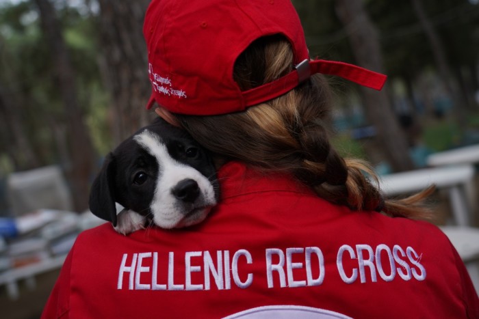 A member of the Hellenic Red Cross rescues a dog from the wildfires in 2023