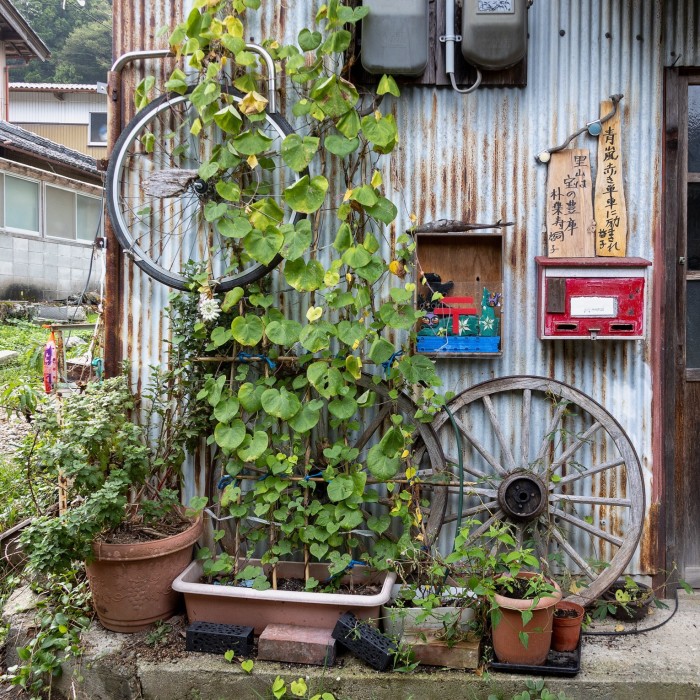 Some plants in pots next to a corrugated shed decorated with pictures and a bicycle wheel