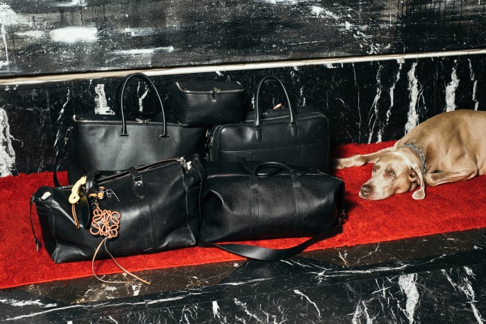 Ulisse, his Weimaraner, and his Valextra and Moncler bags