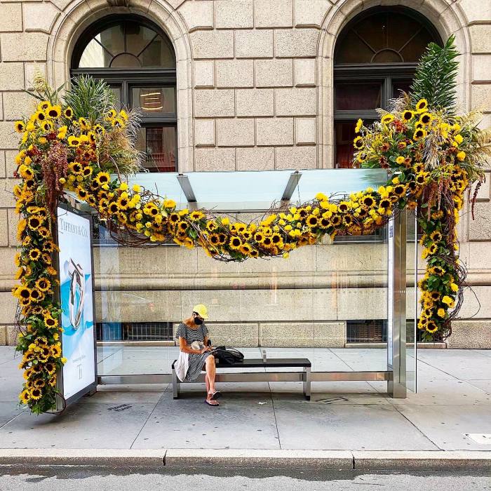A bus shelter garlanded with sunflowers on 11 September
