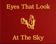 Eyes That Look At The Sky, £175 or £475 for the collector’s edition