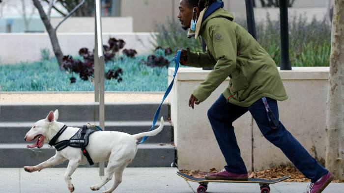 A man on a skateboard exercises his dog in Los Angeles