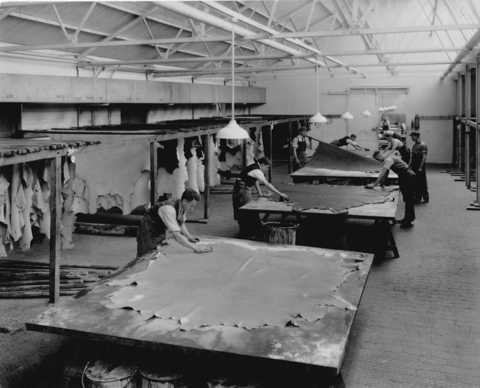 Hand-antiquing Connolly leather in its Wimbledon factory in the 1950s