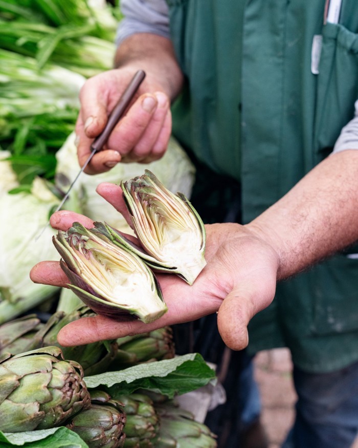 A man holding two halves of a freshly sliced artichoke in the palm of his left hand