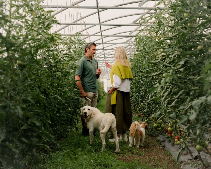 Bamford and Taylor check the tomatoes in one of Daylesford’s poly tunnels