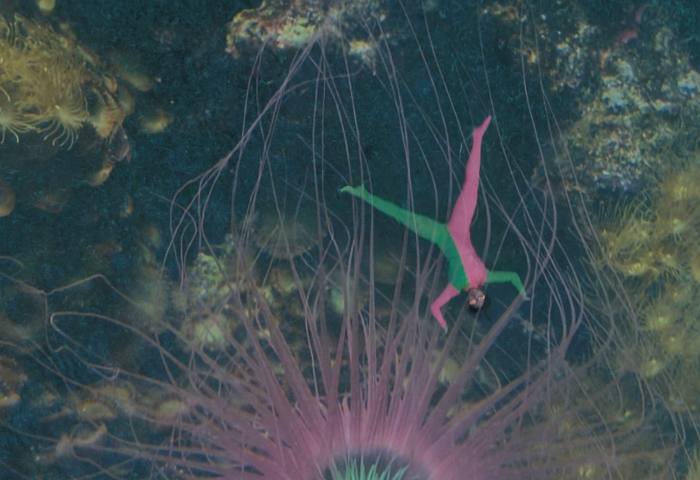 A person in a green and pink bodysuit has their limbs outspread in what looks like the bottom of the sea