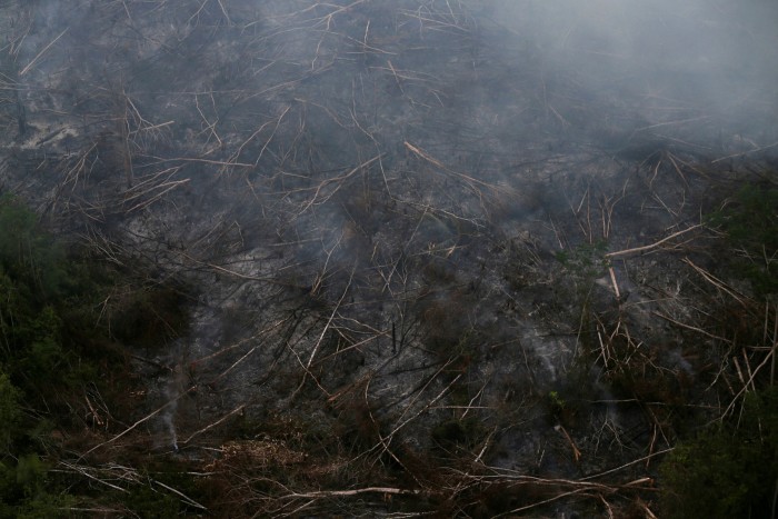 A tract of Amazon jungle burns as it is cleared by farmers in Itaituba, Para, in 2019
