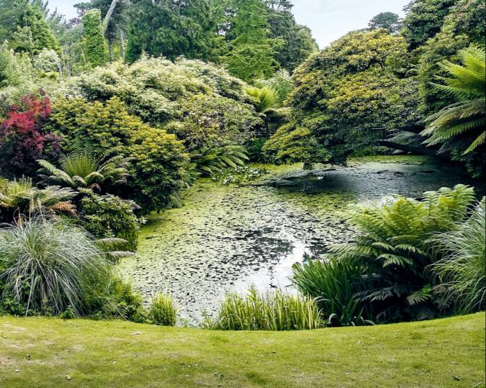 The Lost Gardens of Heligan in Cornwall