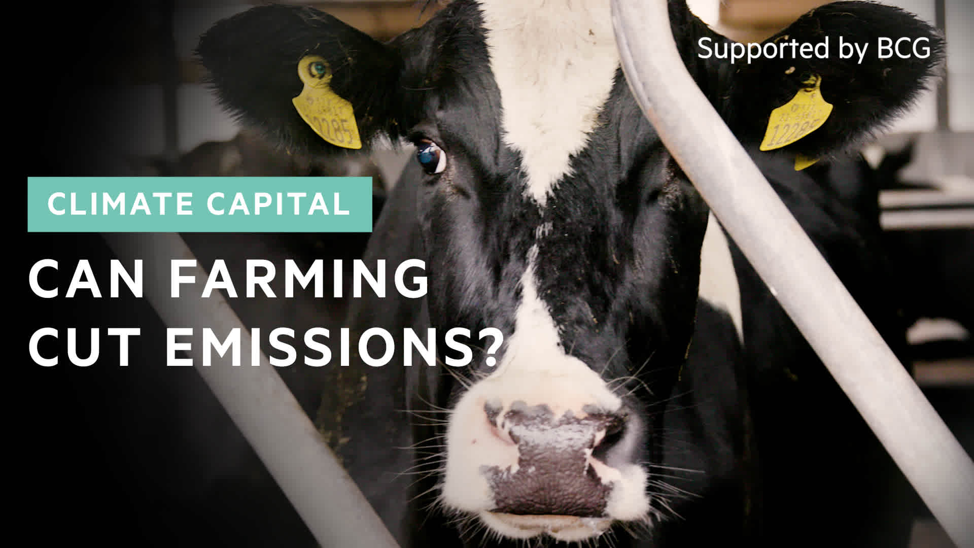 Can farming cut emissions?