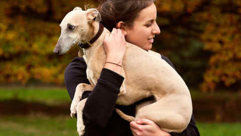 India Ross and her whippet Hebe