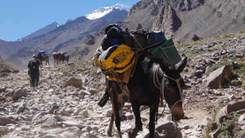 Tourism in Aconcagua. Photographs for James Wilson's special report on Argentina