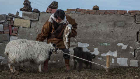a herder in Qinghai province, a region with a high incidence of echinococcosis