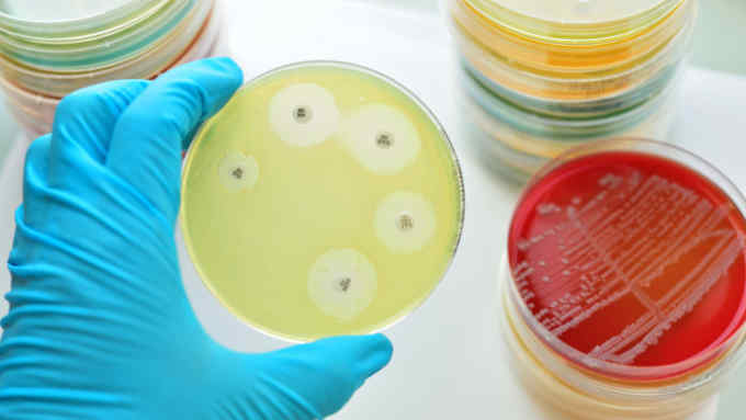 Antimicrobial susceptibility testing. Aureus, bacterium. ROYALTY-FREE STOCK PHOTO Download Antimicrobial Susceptibility Testing Stock Image - Image of aureus, bacterium: 70356045 Antimicrobial susceptibility testing in petri dish Photo Taken On: March 13th, 2016 antimicrobial,dish,petri,susceptibility,testing,agar,antibiotic,bacteria,biochemistry,biology,blood,coli,colonies,colony,culture,diphtheria,disease,drug,escherichia,exam More ID 70356045 © Jarun011 | Dreamstime.com