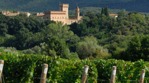 B6FHX5 Bolgheri Tuscany Italy The small town of Bolgheri surrounded by vineyards