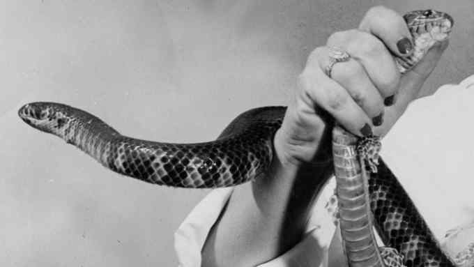 'Girl Plays with Snake' by Clare Strand