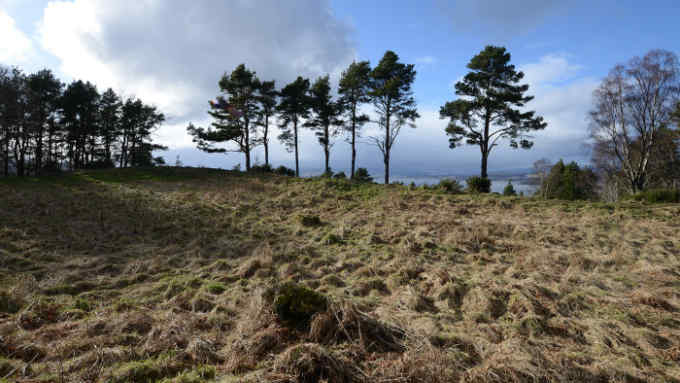 Craig Phadrig summit, above Inverness