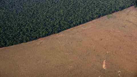 Zebu cattle are seen in a an area that had been cleared for pasture bordering the Amazon forest in this aerial photo taken over Mato Grosso state in western Brazil, October 4, 2015.  Picture taken October 4, 2015. REUTERS/Paulo Whitaker  - GF10000246511