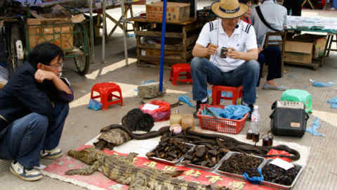 BG1KTK Wildlife for sale in market, Baisha, Guangxi, China