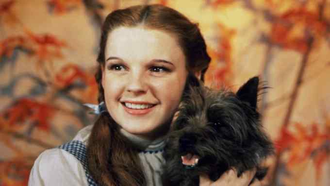 Judy Garland in 'The Wizard of Oz'