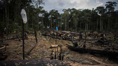 a deforested area in the Pau Rosa community near Manaus, the capital of Amazonas state