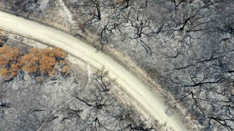A track runs through trees scorched in wildfires in this aerial photograph taken near Buchan, East Gippsland, Australia, on Thursday, Jan. 9, 2020. Dozens of communities -- from small towns such as Pambula on the south coast of New South Wales state, to alpine villages in neighboring Victoria -- are again in danger from wildfires that have razed more than 2,000 homes, killed at least 26 people and charred more than 10 million hectares (25 million acres) of forest and bush across the nation in the past few months. Photographer: Carla Gottgens/Bloomberg