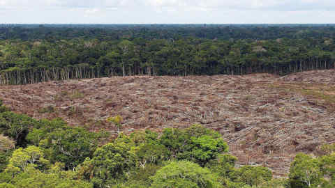epa07772664 A picture made available on 14 August 2019 shows a deforested area in the Amazon forest in Brazil, 28 November 2013 (issued 14 August 2019). Deforestation in the Brazilian Amazon reached 2,254.8 square kilometers in July 2019, an area 278 percent larger compared to the same month last year, according to the National Institute of Space Research (INPE). Inpe had already reported an 88-percent increase in deforestation in June compared to the same month in 2018, data that was publicly questioned by Brazilian President Bolsonaro. The publication led to the dismissal of the institute's head Galvao and the appointment of Darton Policarpo Damiao, a Brazilian Air Force (FAB) officer as interim head. Inpe's publicly accessible Real-Time Amazon Deforestation Detection System (Deter) shows that the deforestation registered in July 2019 is equivalent to more than a third of the total area decimated in the last 12 months.  EPA-EFE/MARCELO SAYAO