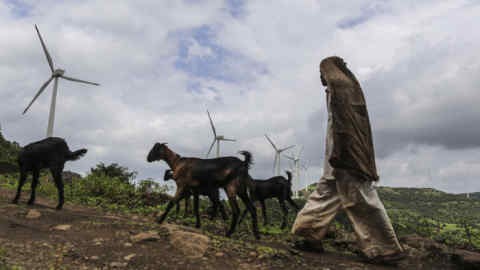 A goat herder walks his livestock past wind turbines manufactured by Gamesa Corp. at the Bharat Light & Power Ltd. Amberi wind farms in Rewalkawadi, Maharashtra India, on Tuesday, Sept. 9, 2014. Prime Minister Narendra Modi's government in July restored a wind-farm tax benefit, which could propel wind installations to a three-year high of 2,600 megawatts in 2014, according to Bloomberg New Energy Finance. Photographer: Dhiraj Singh/Bloomberg