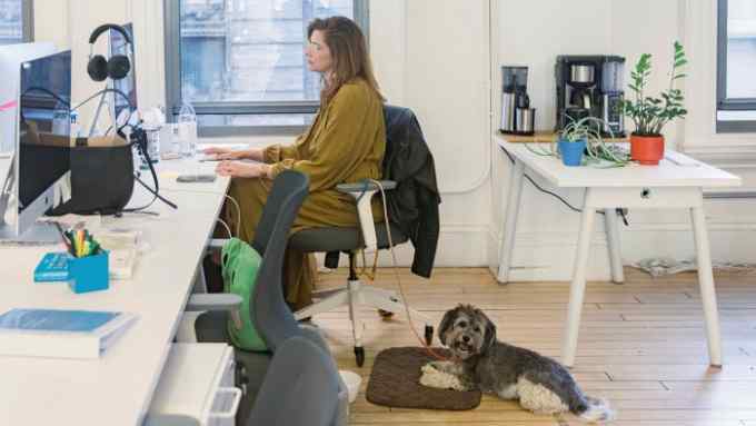 Cara Phillips of CommonBond in the company’s Manhattan office last month with her dog, Pepper, adopted during the pandemic