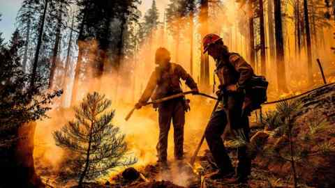 Firefighters spray water in the Sequoia National Forest, California