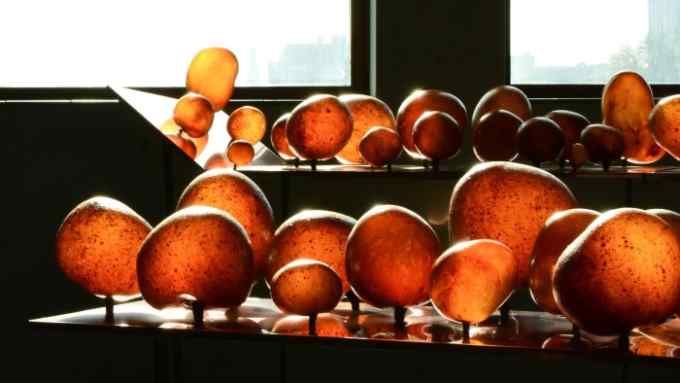 Shelves of egg-shaped objects which glow like amber
