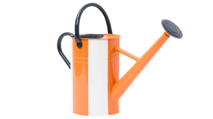 Watering can with two handles and a long spout