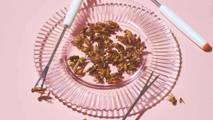 Crickets on a glass plate