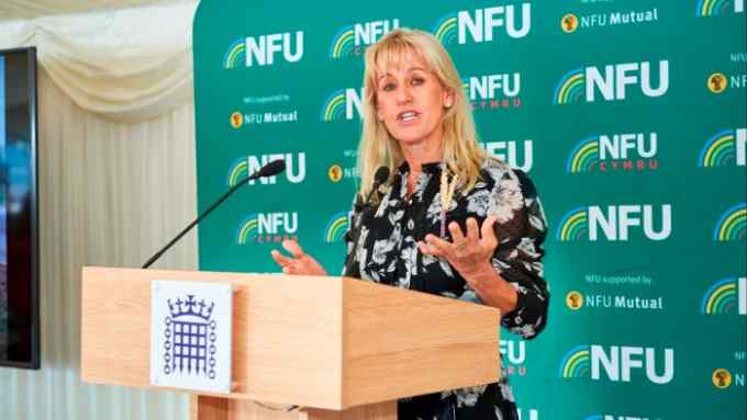 Minette Batters, president of the National Farmers’ Union of England and Wales