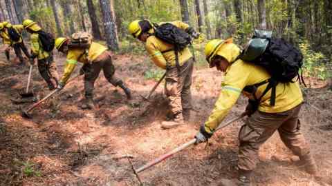 Burnt out: the army helps put out a forest fire in Galvarino, central Chile